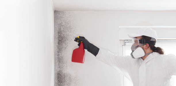 Best Post-Flood Mold Remediation in Wilmington Island, GA